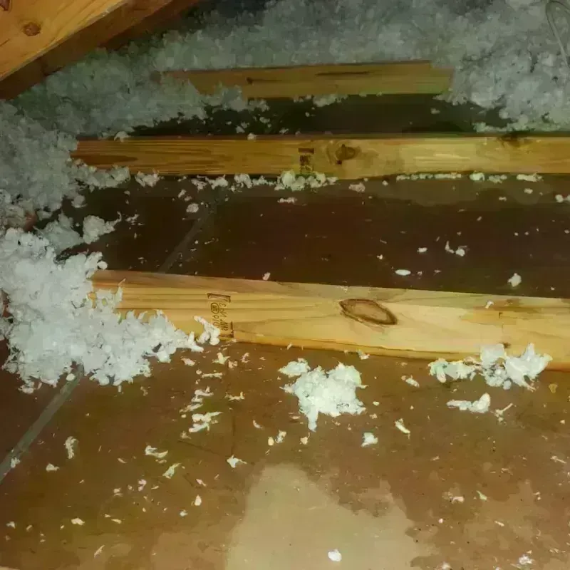 Attic Water Damage in Boonville, IN